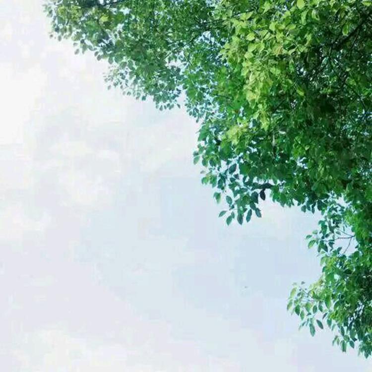 比古清十郎（身份：剑心师父、飞天御剑流第十三代传人） - 纪录片4K资源在线观看 - 网页观影